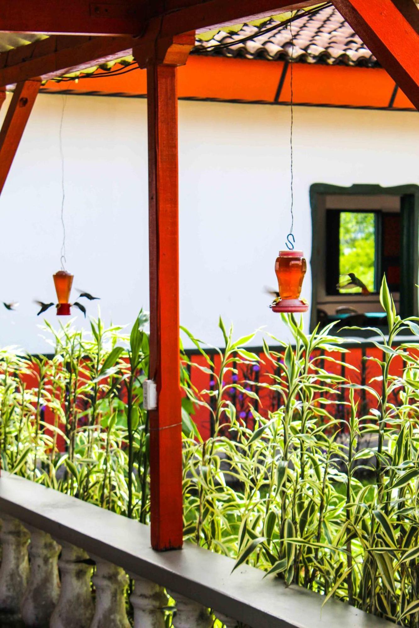 Hotel Campestre La Floresta Puerto Espejo Dış mekan fotoğraf