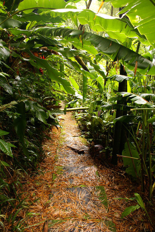 Hotel Campestre La Floresta Puerto Espejo Dış mekan fotoğraf